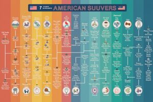 Die beliebtesten amerikanischen Nachnamen im Überblick