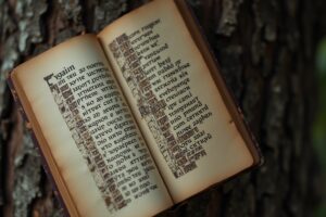 Schwedische Namen: Bedeutungen und Beliebtheit